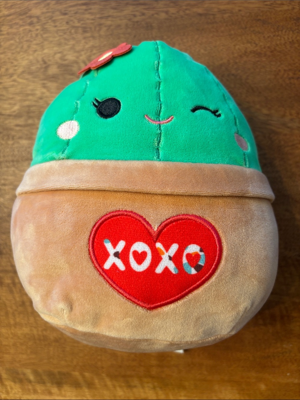 Plush cactus squishy Pillow in Warm Brown and green